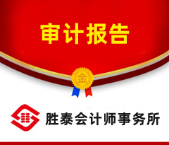 东莞税审报告审计报告